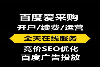 案例研究：SEM代运营服务公司的创新策略